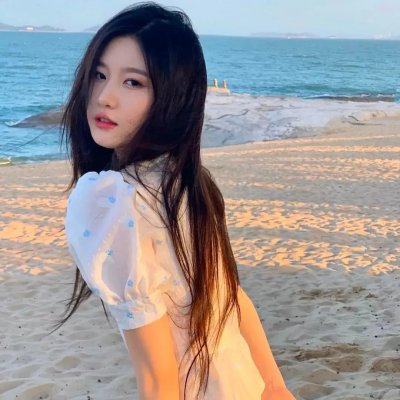 女王鲨